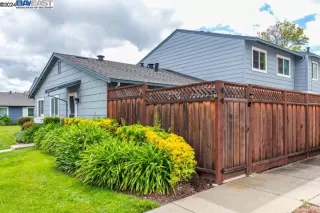 Photo #3: 41056343 Listing