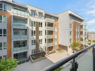 Photo #5: 41056517 Listing 