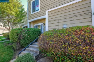 Photo #1: 41056719 Listing