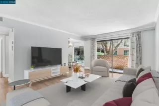 Photo #1: 41056745 Listing 