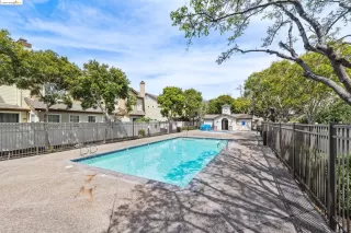 Photo #4: 41056757 Listing