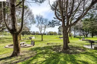 Photo #6: 41056757 Listing