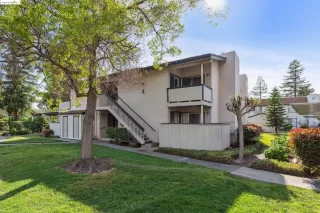 Photo #1: 41056838 Listing