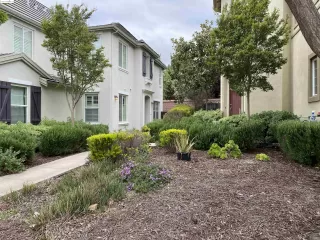 Photo #1: 41057036 Listing 