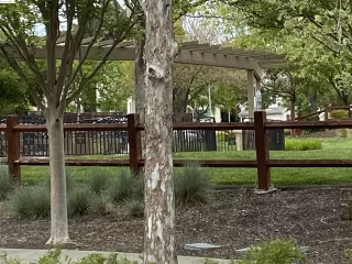 Photo #5: 41057036 Listing 