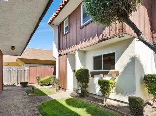 Photo #1: 41057110 Listing