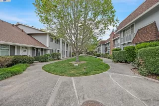 Photo #1: 41057461 Listing