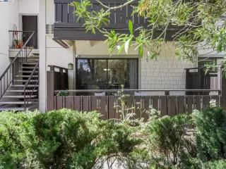 Photo #2: 41057536 Listing