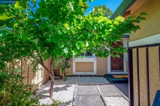 Photo #1: 41058014 Listing