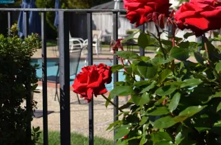 Photo #3: 41058048 Listing