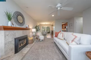 Photo #5: 41058060 Listing