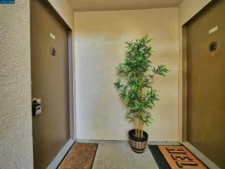 Photo #6: 41058319 Listing