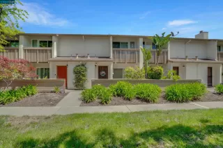 Photo #1: 41058426 Listing