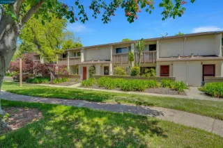 Photo #4: 41058426 Listing