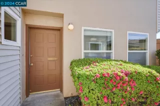 Photo #1: 41058533 Listing 