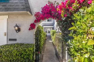 Photo #1: 41058540 Listing