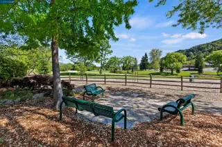 Photo #1: 41058596 Listing 