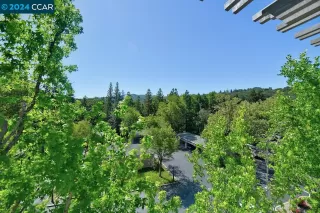 Photo #6: 41058600 Listing