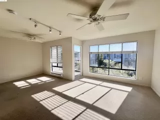 Photo #1: 41058666 Listing