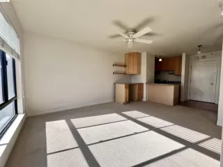 Photo #5: 41058666 Listing