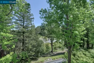 Photo #4: 41058732 Listing