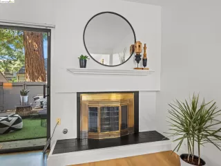 Photo #1: 41058817 Listing 