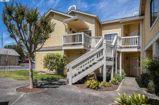 Photo #1: 41059037 Listing