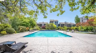 Photo #5: 41059040 Listing