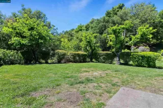 Photo #3: 41059193 Listing