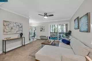 Photo #1: 41059197 Listing