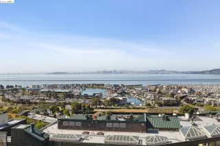 Photo #2: 41059229 Listing 