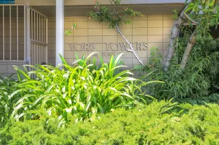 Photo #3: 41059268 Listing