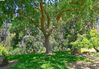 Photo #5: 41059298 Listing