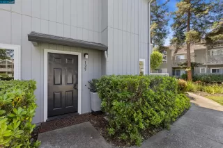 Photo #3: 41059515 Listing