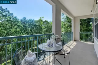 Photo #5: 41059532 Listing