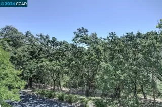 Photo #6: 41059532 Listing