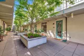 Photo #4: 41059778 Listing 