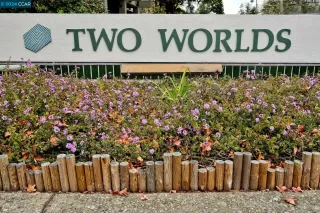 Photo #1: 41059838 Listing