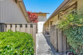 Photo #1: 41059953 Listing