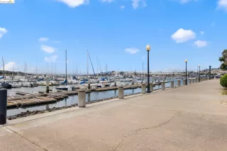 Photo #3: 41059954 Listing