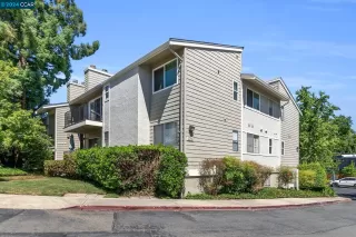 Photo #1: 41060073 Listing