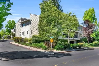 Photo #3: 41060073 Listing