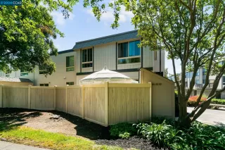 Photo #1: 41060360 Listing 