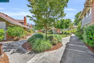 Photo #1: 41060379 Listing