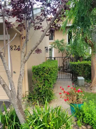 Photo #1: 41060448 Listing