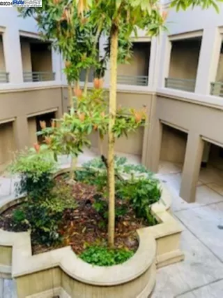 Photo #3: 41060569 Listing