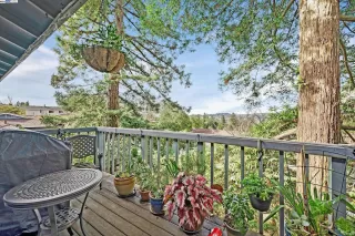 Photo #4: 41060750 Listing