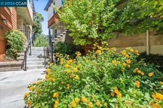 Photo #3: 41060840 Listing