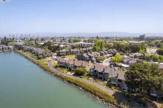 Photo #4: 41060850 Listing