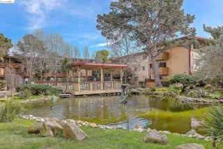 Photo #2: 41061702 Listing 